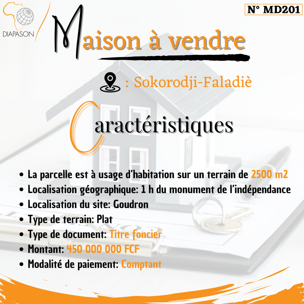 Investissements au Mali, Diaspora malienn, Découvrir le Mali